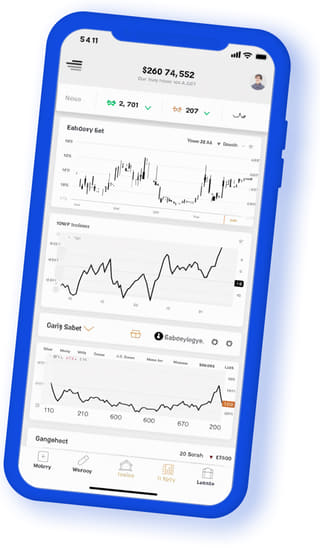 Gainexio digital web application on mobile device